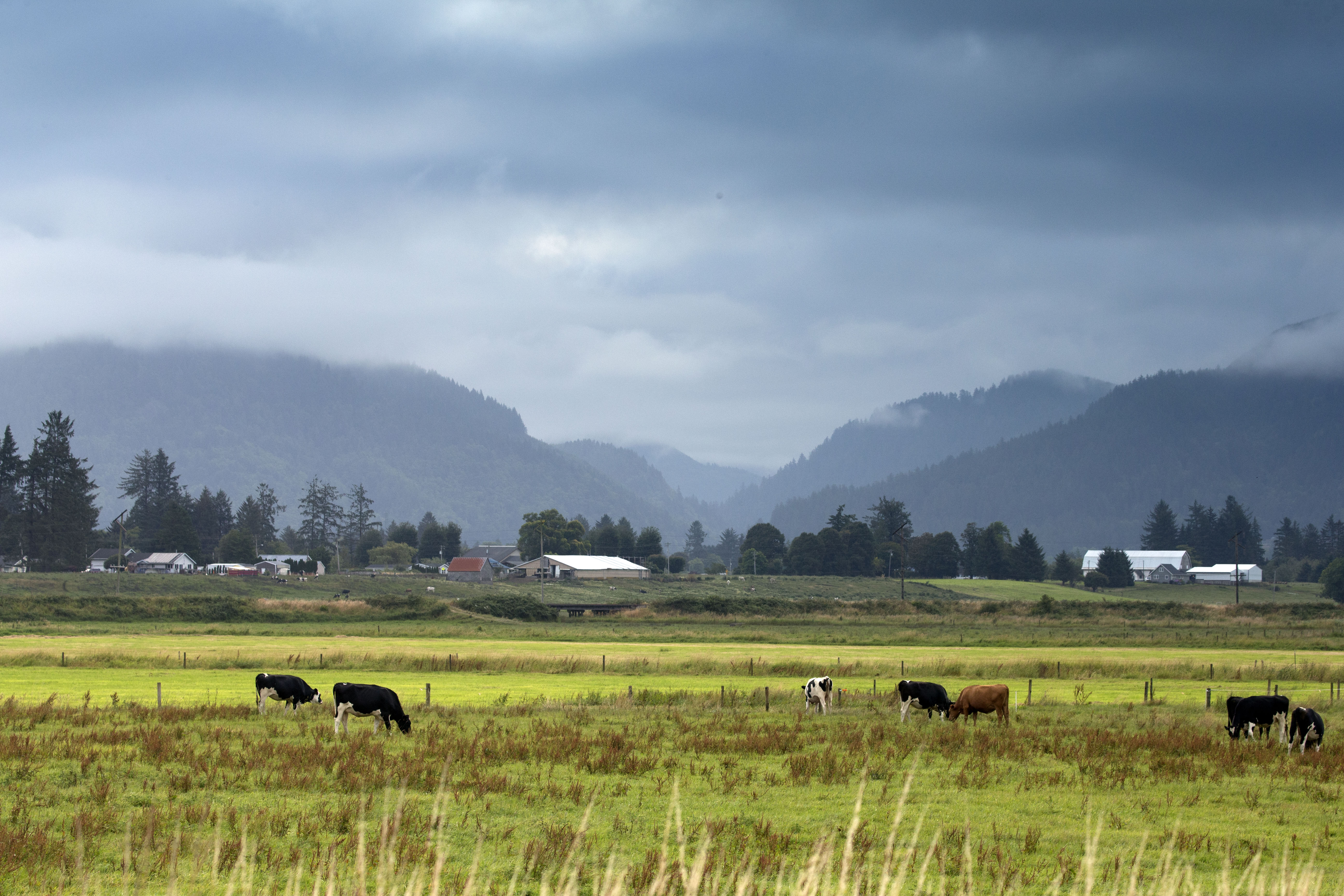 Tillamook Land For Sale